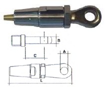 Terminal ojo