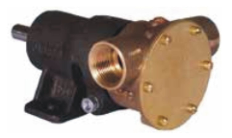 Jabsco 10550-200 pump